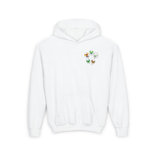 Disney Inspired Youth Hoodie